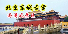 美女操逼黄色一级视频中国北京-东城古宫旅游风景区